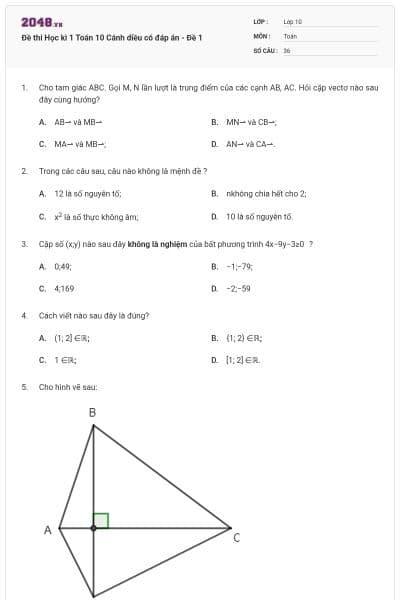 Đề thi Học kì 1 Toán 10 Cánh diều có đáp án - Đề 1