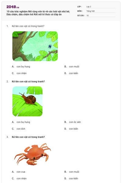 10 câu trắc nghiệm Mở rộng vốn từ về các loài vật nhỏ bé; Dấu chấm, dấu chấm hỏi Kết nối tri thức có đáp án