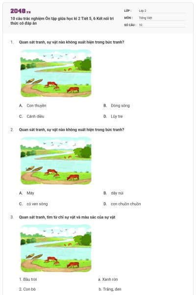 10 câu trắc nghiệm Ôn tập giữa học kì 2 Tiết 5, 6 Kết nối tri thức có đáp án