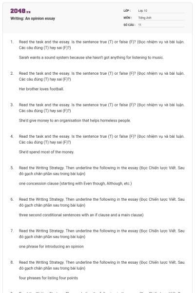 Writing: An opinion essay