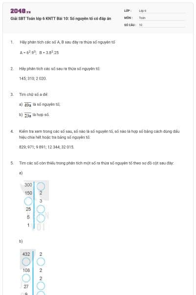 Giải SBT Toán lớp 6 KNTT Bài 10: Số nguyên tố có đáp án