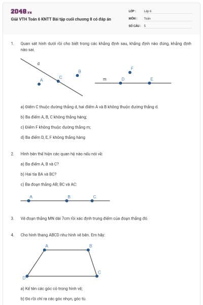 Giải VTH Toán 6 KNTT Bài tập cuối chương 8 có đáp án
