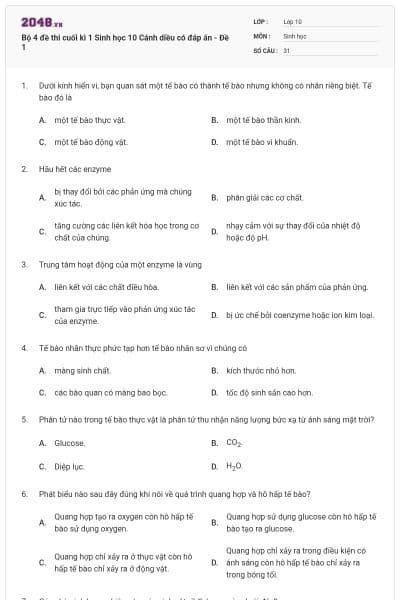 Bộ 4 đề thi cuối kì 1 Sinh học 10 Cánh diều có đáp án - Đề 1