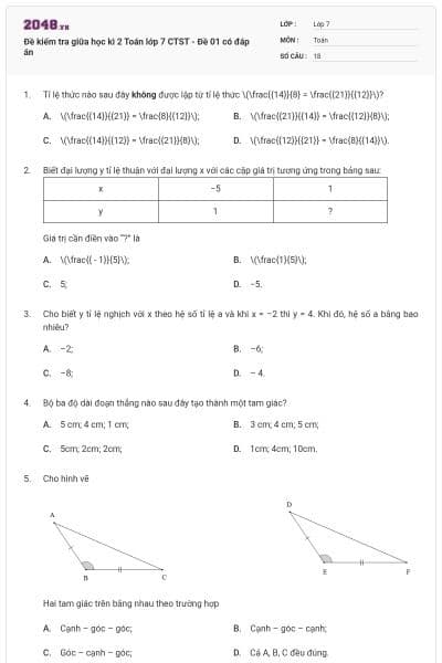 Đề kiểm tra giữa học kì 2 Toán lớp 7 CTST - Đề 01 có đáp án