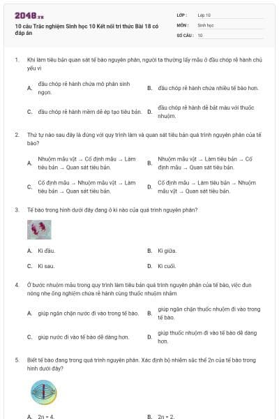 10 câu Trắc nghiệm Sinh học 10 Kết nối tri thức Bài 18 có đáp án