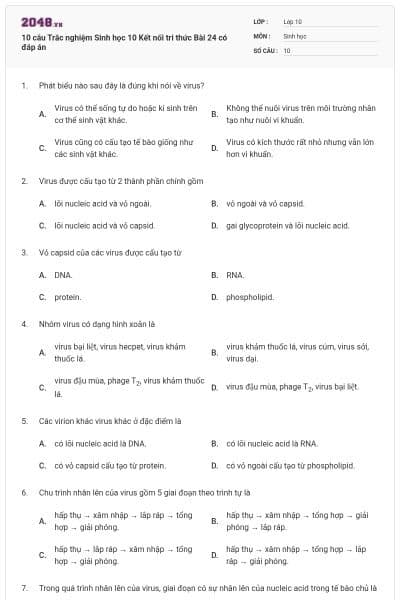 10 câu Trắc nghiệm Sinh học 10 Kết nối tri thức Bài 24 có đáp án