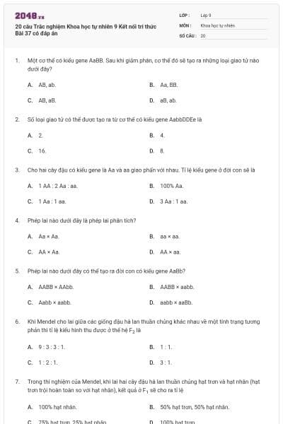20 câu Trắc nghiệm Khoa học tự nhiên 9 Kết nối tri thức Bài 37 có đáp án