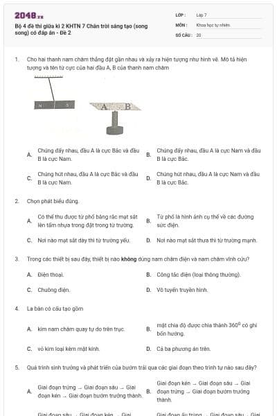Bộ 4 đề thi giữa kì 2 KHTN 7 Chân trời sáng tạo (song song) có đáp án - Đề 2
