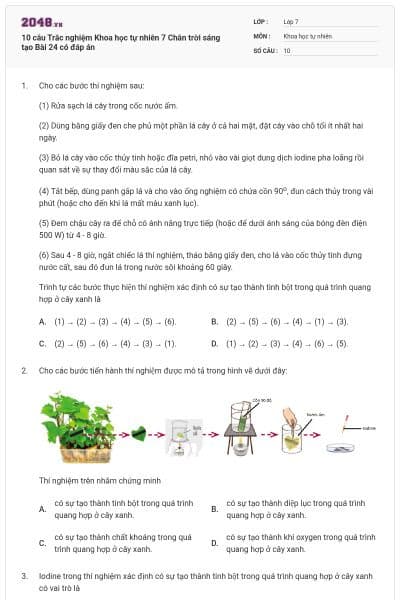 10 câu Trắc nghiệm Khoa học tự nhiên 7 Chân trời sáng tạo Bài 24 có đáp án