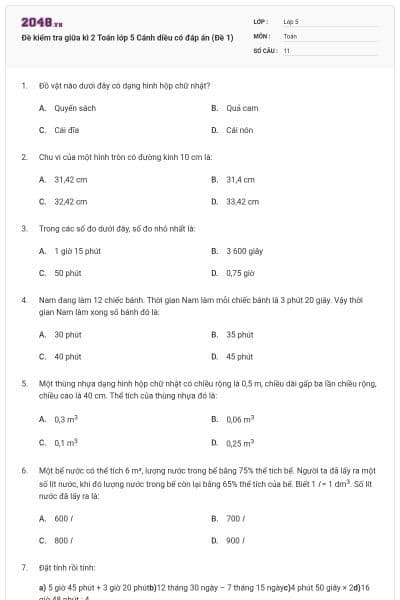 Đề kiểm tra giữa kì 2 Toán lớp 5 Cánh diều có đáp án (Đề 1)