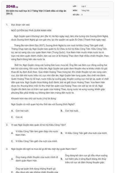 Đề kiểm tra cuối học kì 2 Tiếng Việt 3 Cánh diều có đáp án (Đề 3)