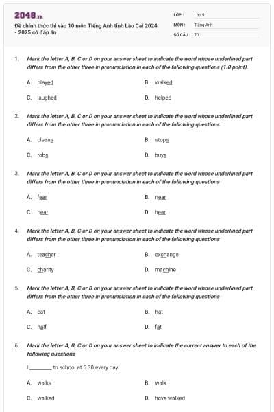 Đề chính thức thi vào 10 môn Tiếng Anh tỉnh Lào Cai  2024 - 2025 có đáp án