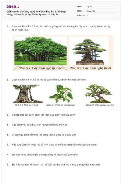 Giải chuyên đề Công nghệ 10 Cánh diều Bài 8. Kĩ thuật trồng, chăm sóc và tạo hình cây sanh có đáp án