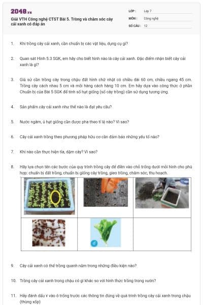 Giải VTH Công nghệ CTST Bài 5. Trồng và chăm sóc cây cải xanh có đáp án