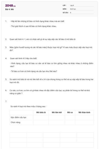 Bài 4: Mô