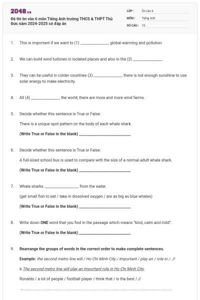 Đề thi ôn vào 6 môn Tiếng Anh trường THCS & THPT Thủ Đức năm 2024-2025 có đáp án