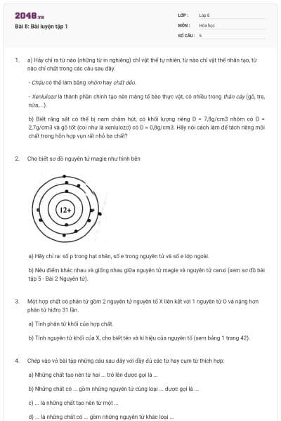 Bài 8: Bài luyện tập 1