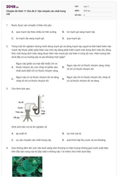 Chuyên đề Sinh 11 Chủ đề 2: Vận chuyển các chất trong cây