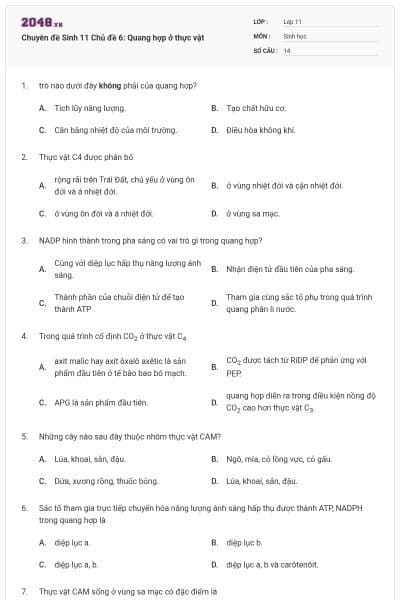 Chuyên đề Sinh 11 Chủ đề 6: Quang hợp ở thực vật