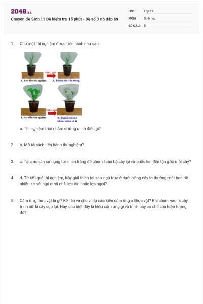 Chuyên đề Sinh 11 Đề kiểm tra 15 phút - Đề số 3 có đáp án