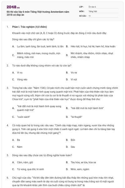 Đề thi vào lớp 6 môn Tiếng Việt trường Amsterdam năm 2018 có đáp án