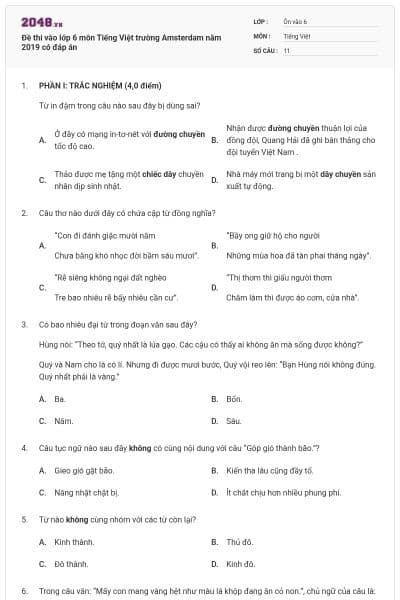 Đề thi vào lớp 6 môn Tiếng Việt trường Amsterdam năm 2019 có đáp án