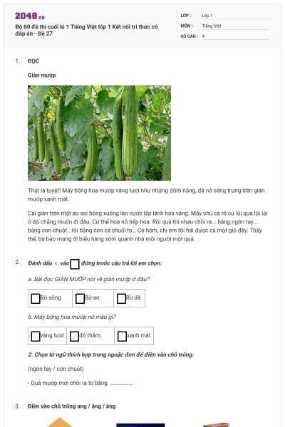 Bộ 60 đề thi cuối kì 1 Tiếng Việt lớp 1 Kết nối tri thức có đáp án - Đề 27