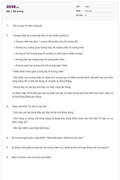 Bài 7: Bộ xương