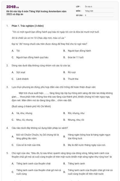 Đề thi vào lớp 6 môn Tiếng Việt trường Amsterdam năm 2022 có đáp án