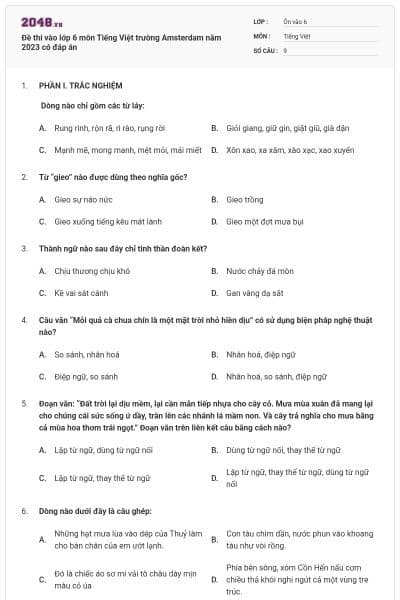 Đề thi vào lớp 6 môn Tiếng Việt trường Amsterdam năm 2023 có đáp án