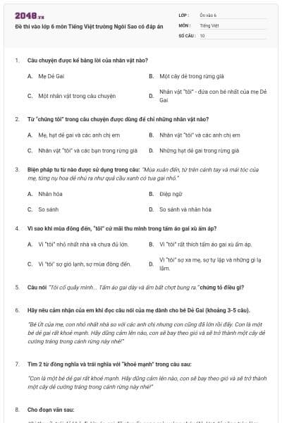 Đề thi vào lớp 6 môn Tiếng Việt trường Ngôi Sao  có đáp án