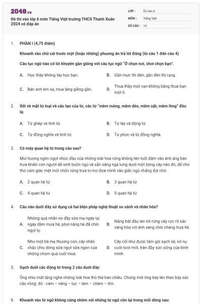 Đề thi vào lớp 6 môn Tiếng Việt trường THCS Thanh Xuân 2024 có đáp án