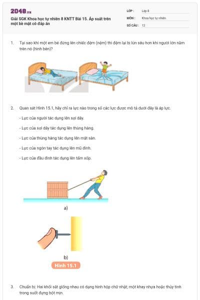 Giải SGK Khoa học tự nhiên 8 KNTT Bài 15. Áp suất trên một bề mặt có đáp án