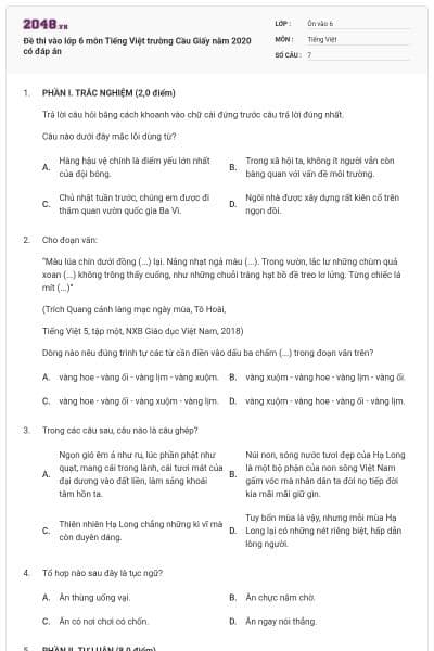 Đề thi vào lớp 6 môn Tiếng Việt trường Cầu Giấy năm 2020 có đáp án