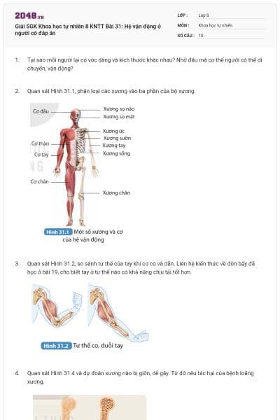 Giải SGK Khoa học tự nhiên 8 KNTT Bài 31: Hệ vận động ở người có đáp án
