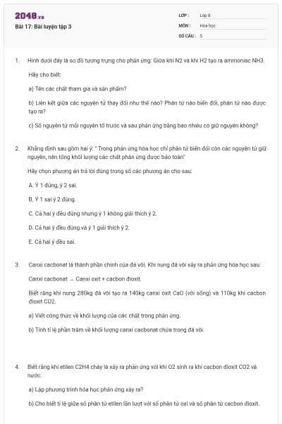 Bài 17: Bài luyện tập 3