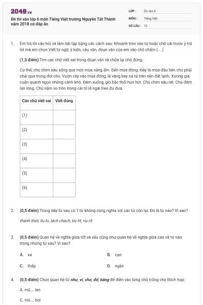 Đề thi vào lớp 6 môn Tiếng Việt trường Nguyễn Tất Thành năm 2018 có đáp án
