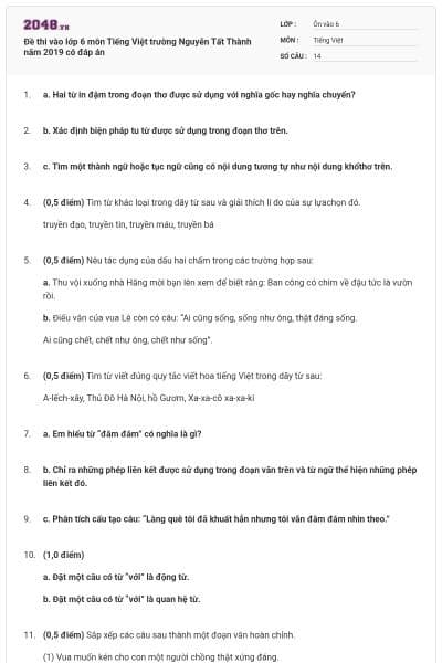 Đề thi vào lớp 6 môn Tiếng Việt trường Nguyễn Tất Thành năm 2019 có đáp án