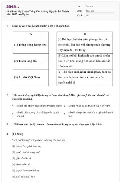 Đề thi vào lớp 6 môn Tiếng Việt trường Nguyễn Tất Thành năm 2022 có đáp án