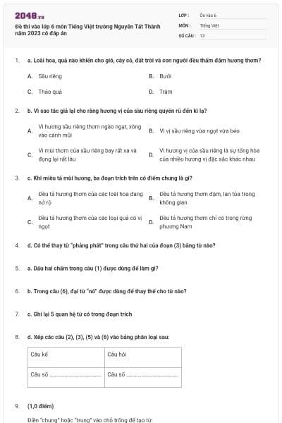 Đề thi vào lớp 6 môn Tiếng Việt trường Nguyễn Tất Thành năm 2023 có đáp án