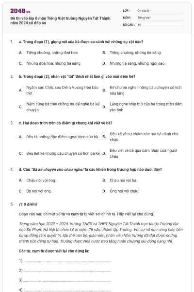 Đề thi vào lớp 6 môn Tiếng Việt trường Nguyễn Tất Thành năm 2024 có đáp án