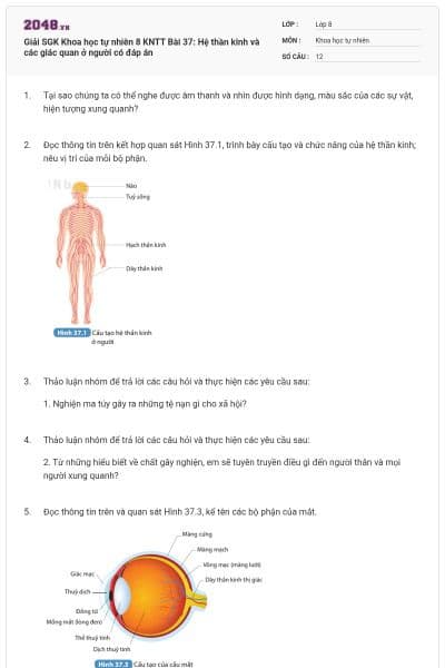 Giải SGK Khoa học tự nhiên 8 KNTT Bài 37: Hệ thần kinh và các giác quan ở người có đáp án