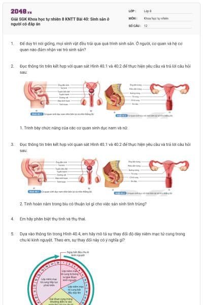 Giải SGK Khoa học tự nhiên 8 KNTT Bài 40: Sinh sản ở người có đáp án