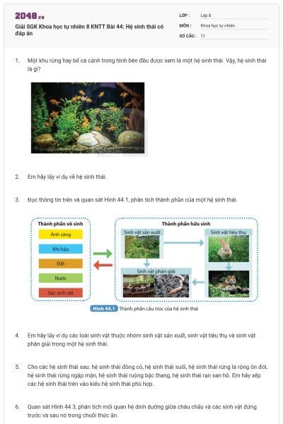 Giải SGK Khoa học tự nhiên 8 KNTT Bài 44: Hệ sinh thái có đáp án