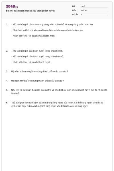 Bài 16: Tuần hoàn máu và lưu thông bạch huyết