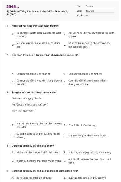 Bộ 20 đề thi Tiếng Việt ôn vào 6 năm 2023 - 2024 có đáp án (Đề 2)