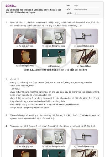 Giải SGK Khoa học tự nhiên 8 Cánh diều Bài 1: Biến đổi vật lí và biến đổi hóa học có đáp án