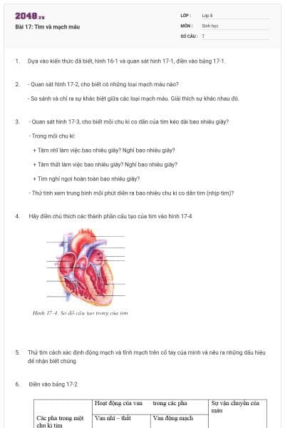 Bài 17: Tim và mạch máu