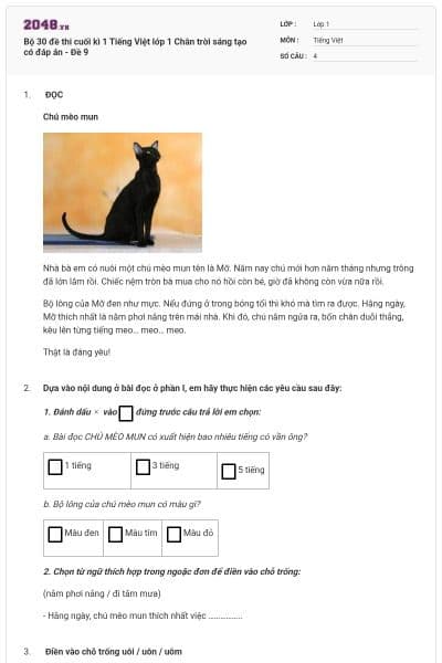 Bộ 30 đề thi cuối kì 1 Tiếng Việt lớp 1 Chân trời sáng tạo có đáp án - Đề 9