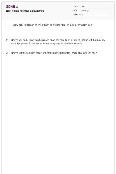 Bài 19: Thực hành: Sơ cứu cầm máu